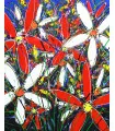 Close up of original art work Tangled Flowers by David Hart | Cycling Gear