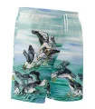 Kristy-Ann Duffy Kelp Gull Board Shorts - Unisex | Beach Wear